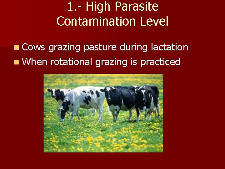 1. - High Parasite Contamination Level n Cows grazing pasture during lactation n When 1. - High Parasite Contamination Level n Cows grazing pasture during lactation n When