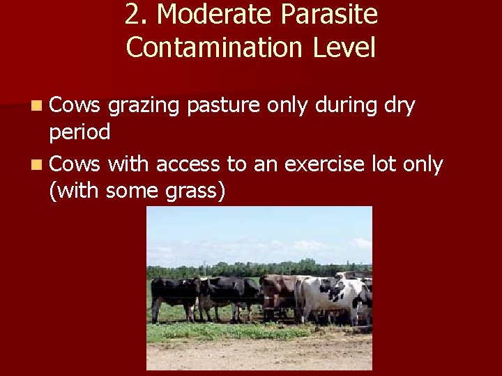 2. Moderate Parasite Contamination Level n Cows grazing pasture only during dry period n 2. Moderate Parasite Contamination Level n Cows grazing pasture only during dry period n