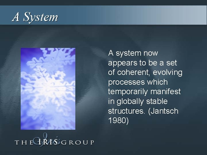 A System A system now appears to be a set of coherent, evolving processes