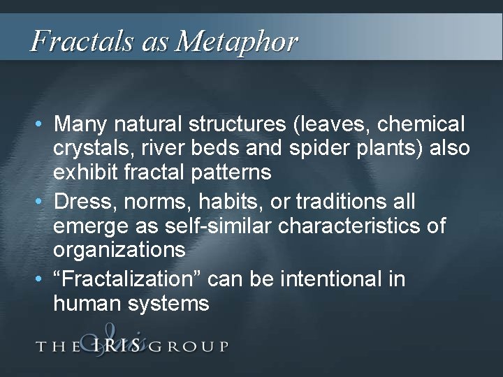 Fractals as Metaphor • Many natural structures (leaves, chemical crystals, river beds and spider