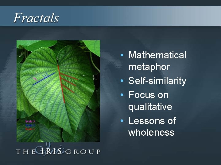 Fractals • Mathematical metaphor • Self-similarity • Focus on qualitative • Lessons of wholeness
