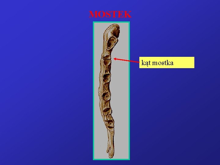 MOSTEK kąt mostka 