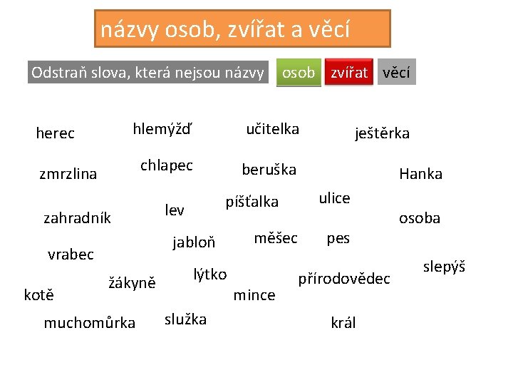 názvy osob, zvířat a věcí Odstraň slova, která nejsou názvy herec hlemýžď učitelka chlapec