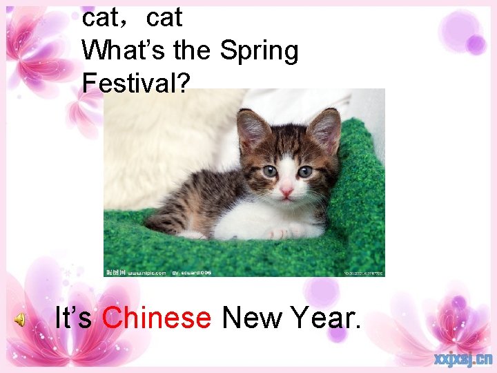 cat，cat What’s the Spring Festival? It’s Chinese New Year. 