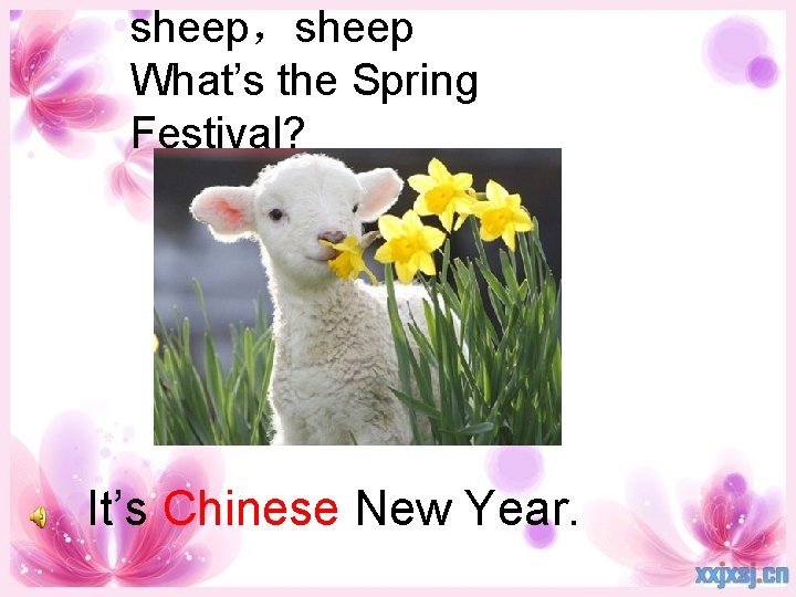 sheep，sheep What’s the Spring Festival? It’s Chinese New Year. 