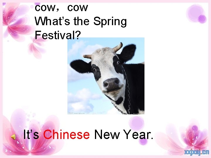cow，cow What’s the Spring Festival? It’s Chinese New Year. 