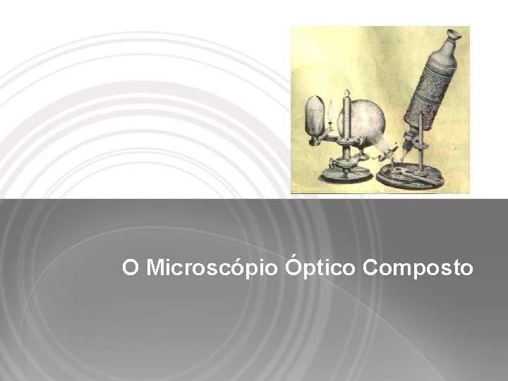 O Microscópio Óptico Composto 