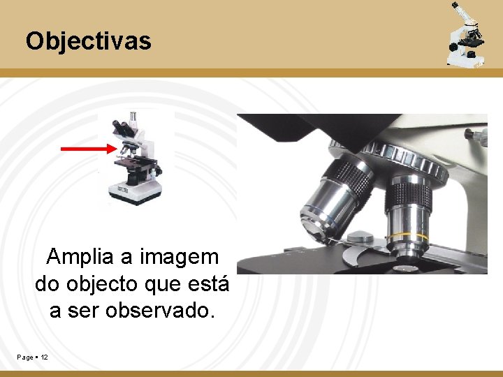 Objectivas Amplia a imagem do objecto que está a ser observado. Page 12 