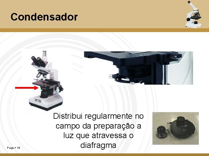 Condensador Page 14 Distribui regularmente no campo da preparação a luz que atravessa o