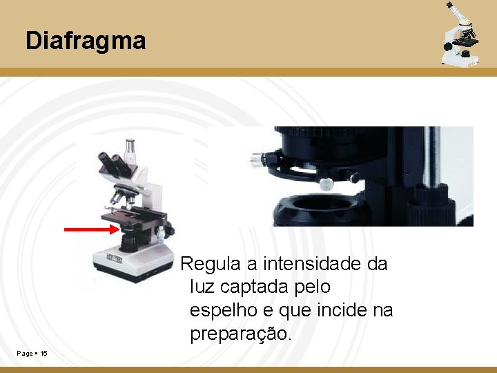 Diafragma Regula a intensidade da luz captada pelo espelho e que incide na preparação.