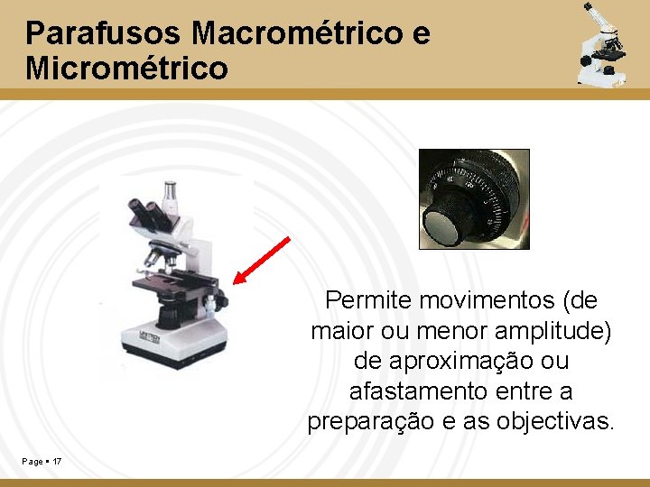 Parafusos Macrométrico e Micrométrico Permite movimentos (de maior ou menor amplitude) de aproximação ou