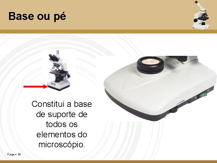 Base ou pé Constitui a base de suporte de todos os elementos do microscópio.