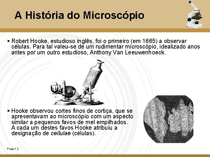 A História do Microscópio Robert Hooke, estudioso inglês, foi o primeiro (em 1665) a