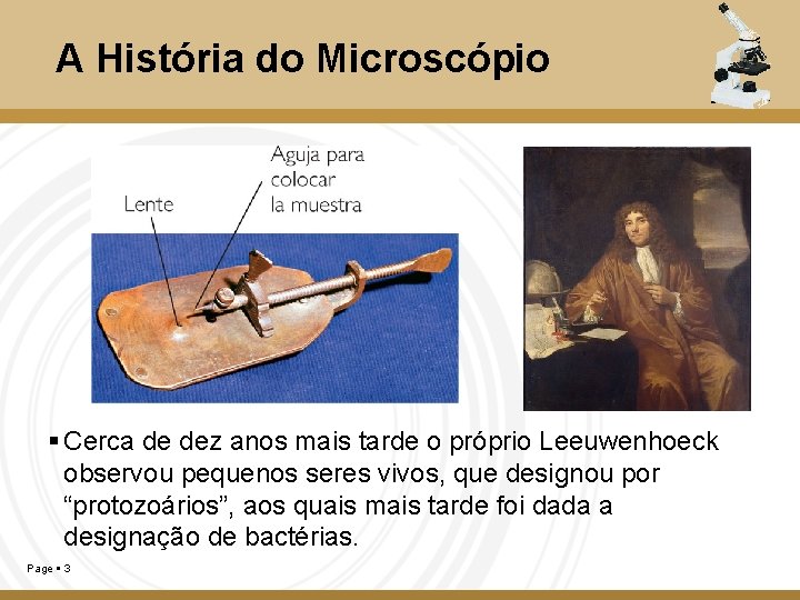 A História do Microscópio Cerca de dez anos mais tarde o próprio Leeuwenhoeck observou