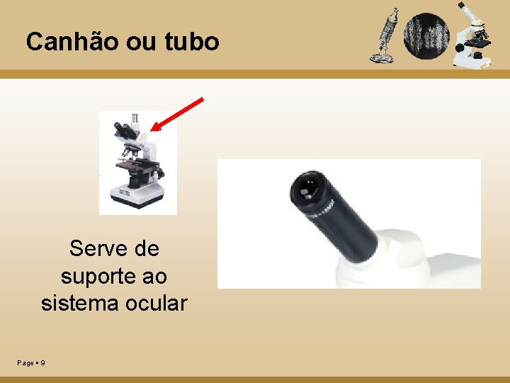 Canhão ou tubo Serve de suporte ao sistema ocular Page 9 