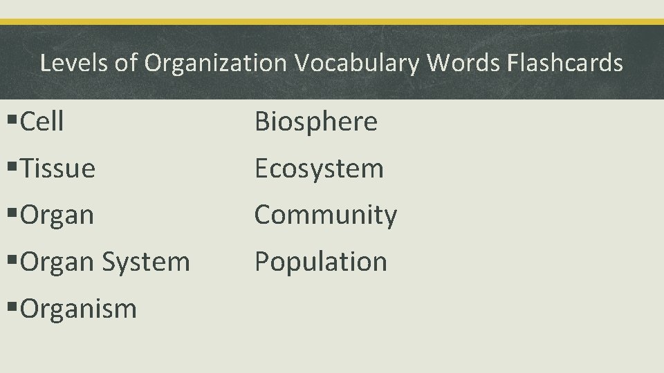 Levels of Organization Vocabulary Words Flashcards §Cell Biosphere §Tissue Ecosystem §Organ Community §Organ System