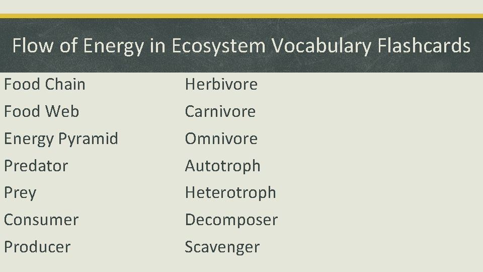 Flow of Energy in Ecosystem Vocabulary Flashcards Food Chain Food Web Energy Pyramid Predator