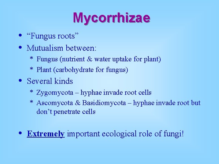 Mycorrhizae • • “Fungus roots” Mutualism between: * Fungus (nutrient & water uptake for