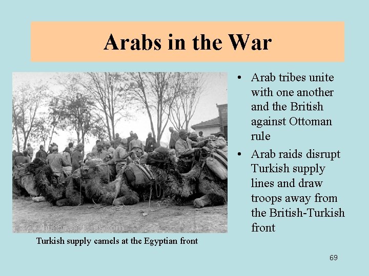 Arabs in the War • Arab tribes unite with one another and the British