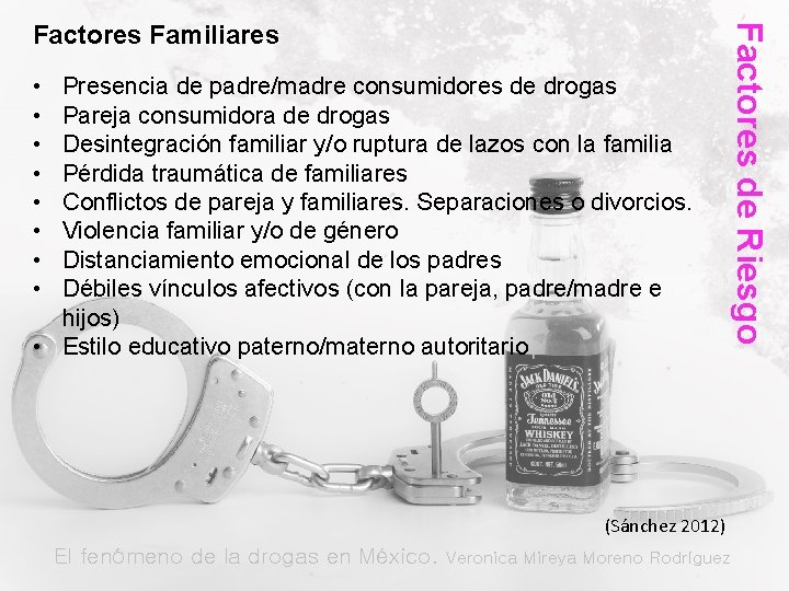  • • Presencia de padre/madre consumidores de drogas Pareja consumidora de drogas Desintegración