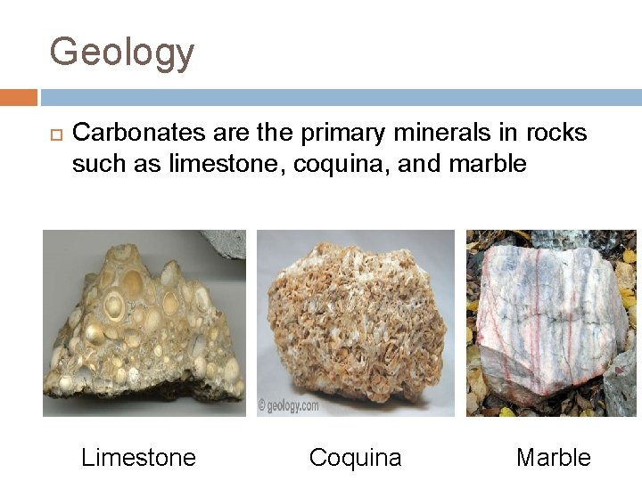 Geology Carbonates are the primary minerals in rocks such as limestone, coquina, and marble
