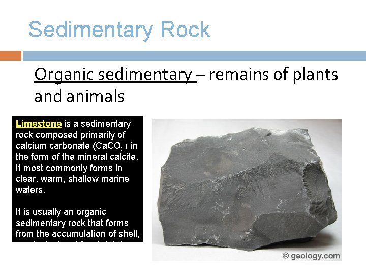 Sedimentary Rock Organic sedimentary – remains of plants and animals Limestone is a sedimentary