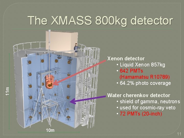 The XMASS 800 kg detector 11 m Xenon detector • Liquid Xenon 857 kg