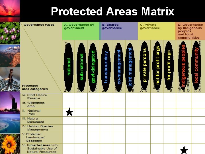 local community indigenous peoples for-profit orgs not-for-profit orgs private persons joint management co-management transboundary