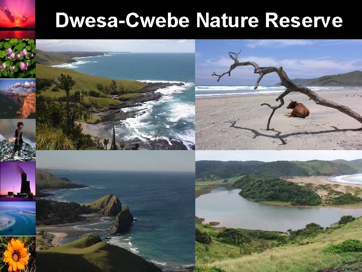 Dwesa-Cwebe Nature Reserve 8 