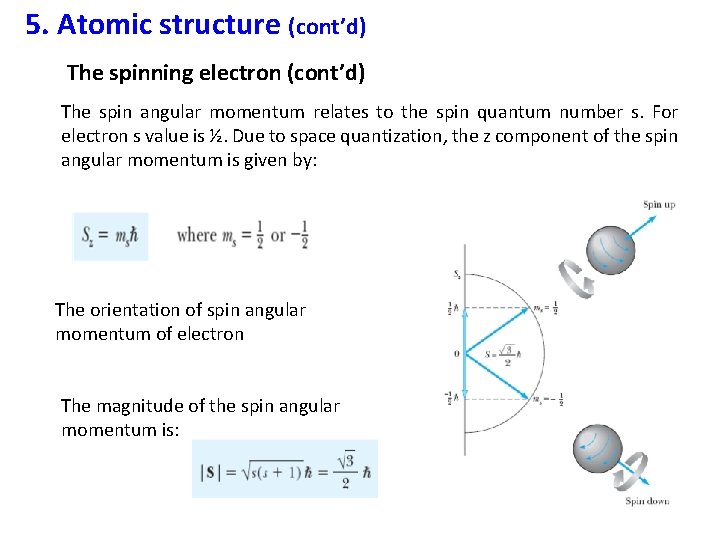 5. Atomic structure (cont’d) The spinning electron (cont’d) The spin angular momentum relates to