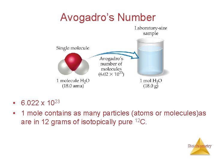 Avogadro’s Number • 6. 022 x 1023 • 1 mole contains as many particles