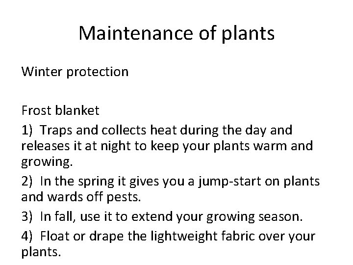 Maintenance of plants Winter protection Frost blanket 1) Traps and collects heat during the