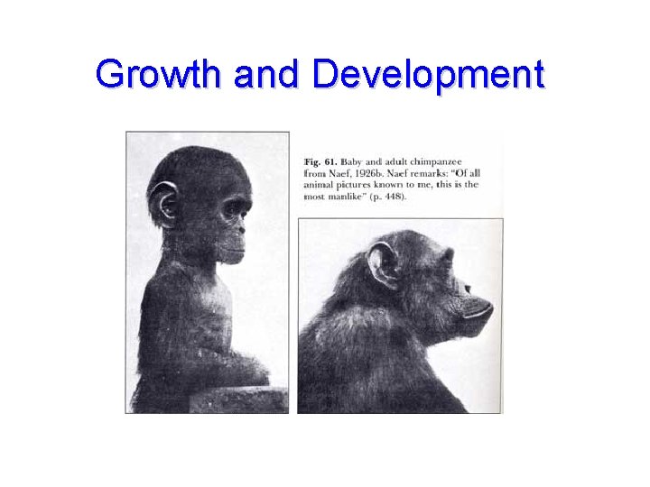 Growth and Development 