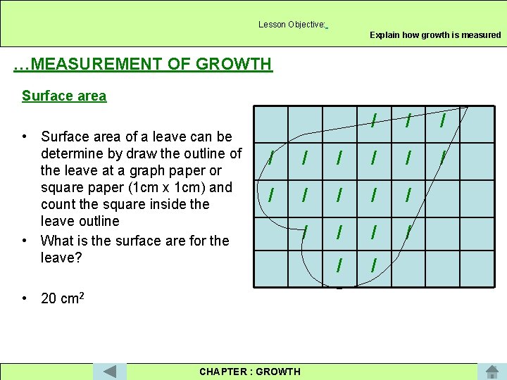 Lesson Objective: Explain how growth is measured …MEASUREMENT OF GROWTH Surface area • Surface