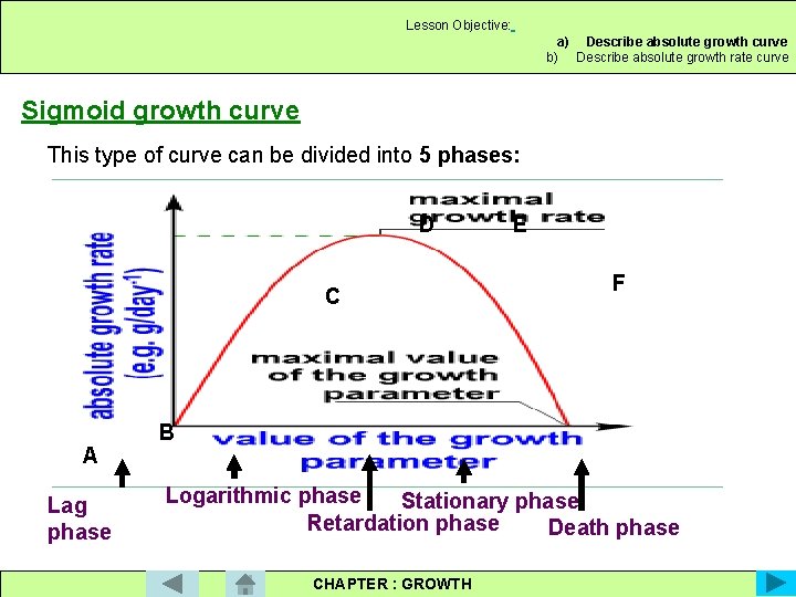 Lesson Objective: a) Describe absolute growth curve b) Describe absolute growth rate curve Sigmoid