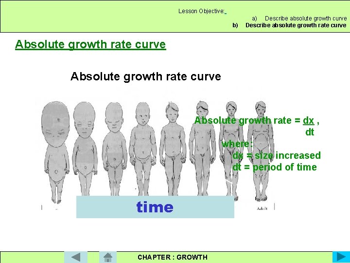 Lesson Objective: b) a) Describe absolute growth curve Describe absolute growth rate curve Absolute