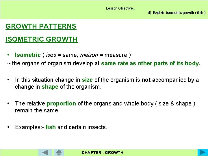 Lesson Objective: d) Explain isometric growth ( fish ) GROWTH PATTERNS ISOMETRIC GROWTH •