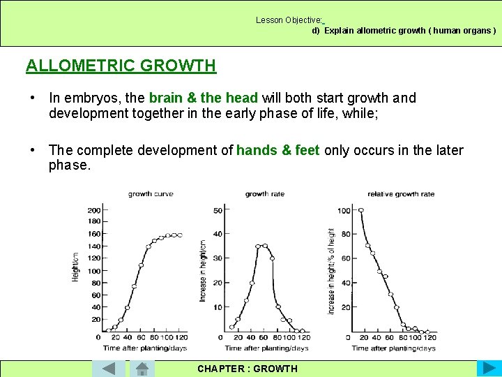 Lesson Objective: d) Explain allometric growth ( human organs ) ALLOMETRIC GROWTH • In