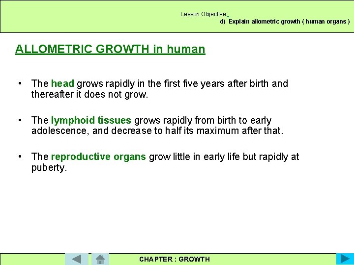 Lesson Objective: d) Explain allometric growth ( human organs ) ALLOMETRIC GROWTH in human
