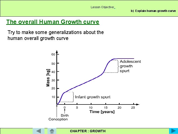 Lesson Objective: b) Explain human growth curve The overall Human Growth curve Try to