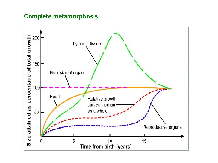 Complete metamorphosis 