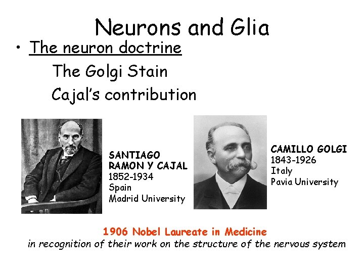 Neurons and Glia • The neuron doctrine The Golgi Stain Cajal’s contribution SANTIAGO RAMON Neurons and Glia • The neuron doctrine The Golgi Stain Cajal’s contribution SANTIAGO RAMON