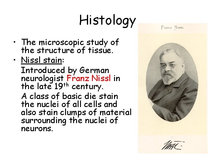 Histology • The microscopic study of the structure of tissue. • Nissl stain: Introduced Histology • The microscopic study of the structure of tissue. • Nissl stain: Introduced