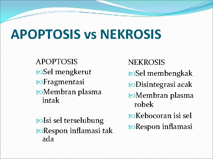 APOPTOSIS vs NEKROSIS APOPTOSIS Sel mengkerut Fragmentasi Membran plasma intak Isi sel terselubung Respon