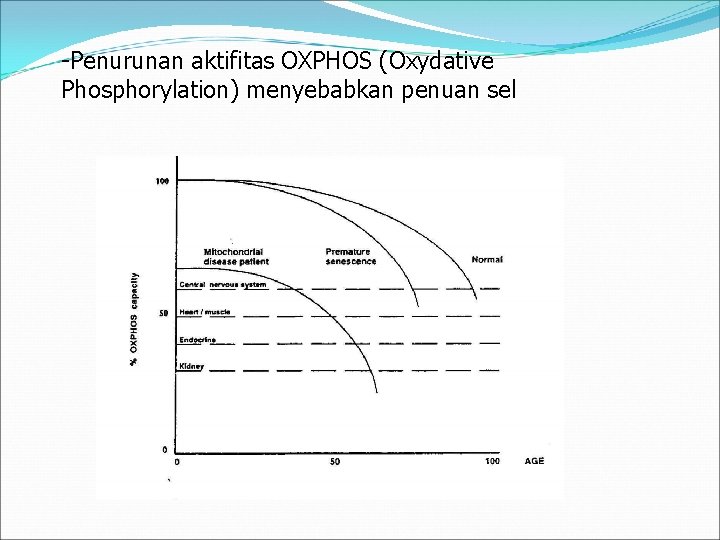-Penurunan aktifitas OXPHOS (Oxydative Phosphorylation) menyebabkan penuan sel 