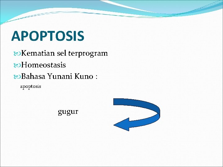 APOPTOSIS Kematian sel terprogram Homeostasis Bahasa Yunani Kuno : apoptosis gugur 