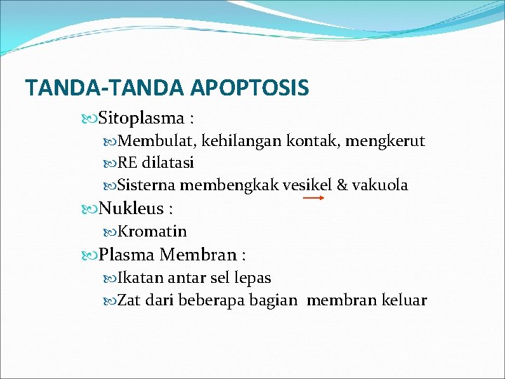 TANDA-TANDA APOPTOSIS Sitoplasma : Membulat, kehilangan kontak, mengkerut RE dilatasi Sisterna membengkak vesikel &