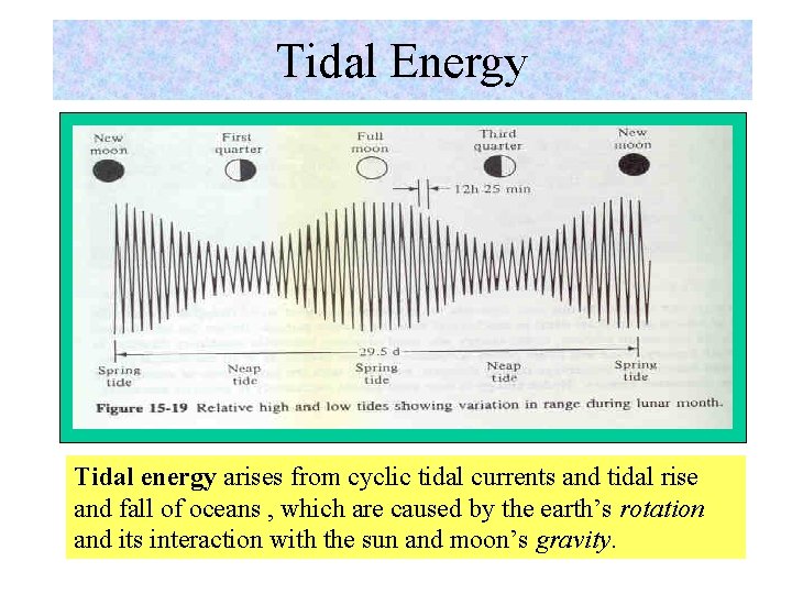 Tidal Energy Tidal energy arises from cyclic tidal currents and tidal rise and fall