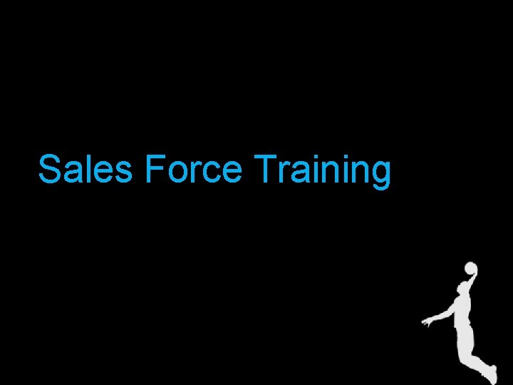 Sales Force Training 