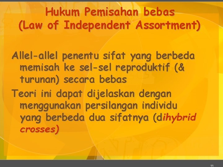 Hukum Pemisahan bebas (Law of Independent Assortment) Allel-allel penentu sifat yang berbeda memisah ke